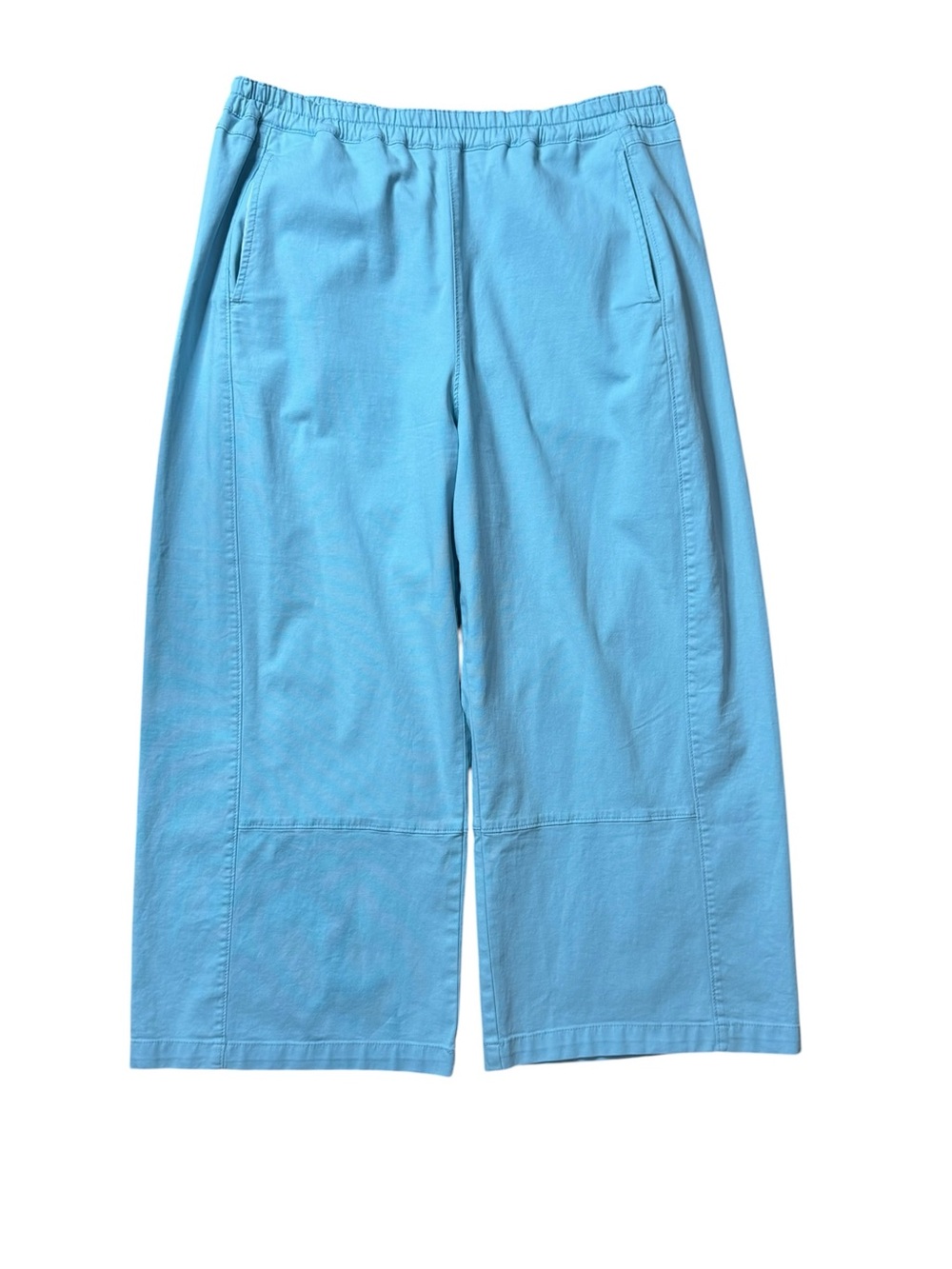 Pilcro Anthropologie Izzie Relaxed Pull-On Barrel Pants size XL
